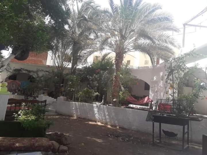 Hotel Fighting Kangaroo Camp Dahab Esterno foto