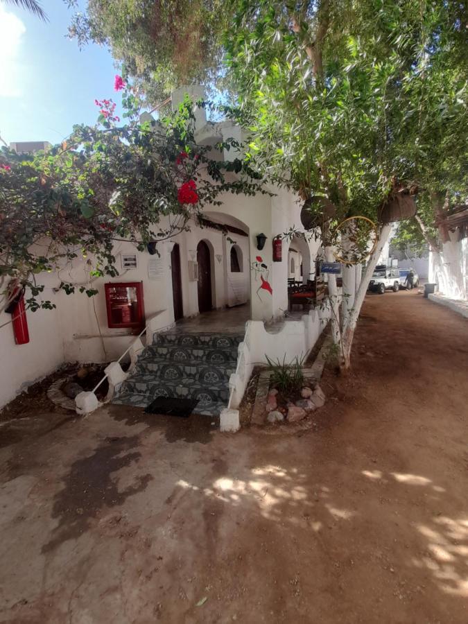 Hotel Fighting Kangaroo Camp Dahab Esterno foto