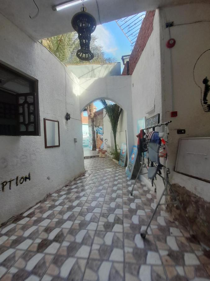Hotel Fighting Kangaroo Camp Dahab Esterno foto