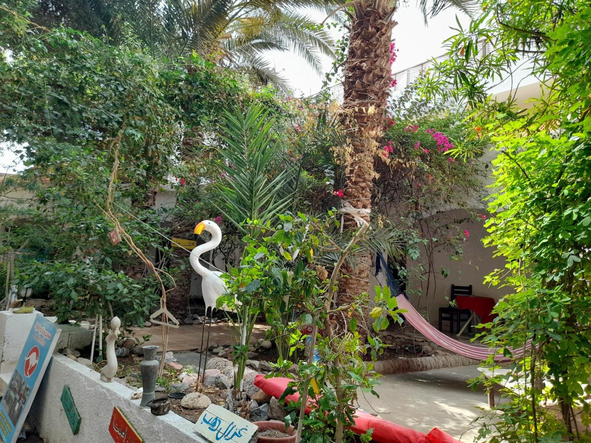 Hotel Fighting Kangaroo Camp Dahab Esterno foto